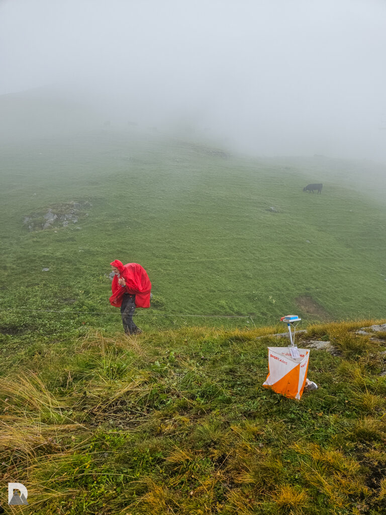 Posten Nummer 64 auf dem Stein oben. Felix voll eingepackt in Regenkleidung. Eringerkühe im Hintergrund